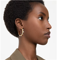 Orecchini Swarovski Donna DEXTERA in Lega metallica Cristallo 5663261 - 5663261